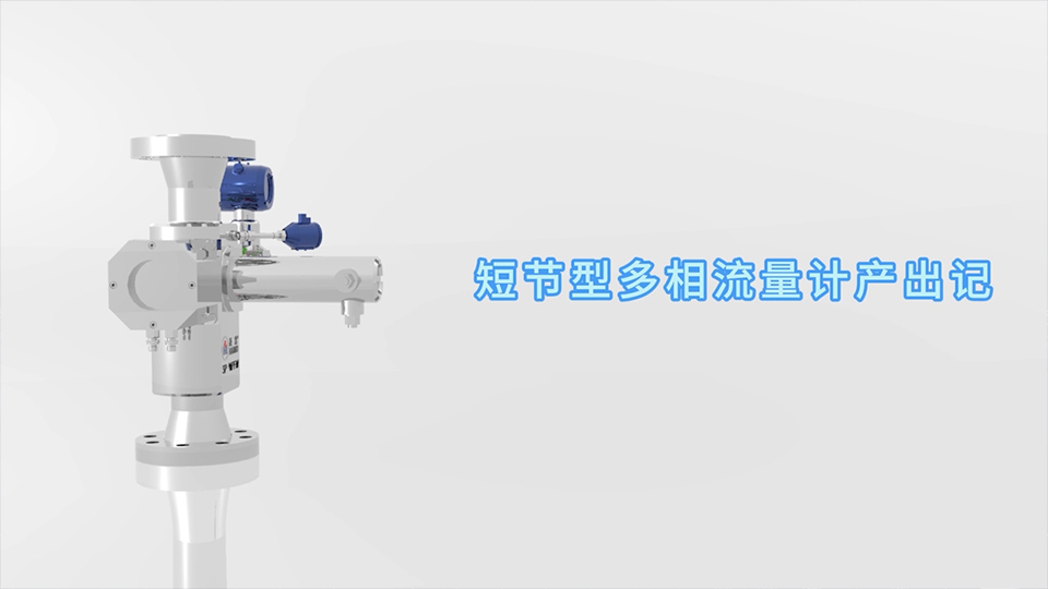尊龙时凯-人生就是拼搏z06短节型多相流量计